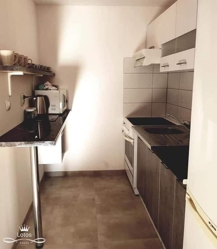 Apartament Lotos Затор Экстерьер фото